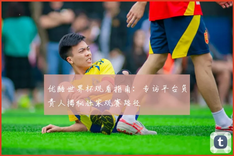 优酷世界杯观看指南:专访平台负责人揭秘独家观赛路径