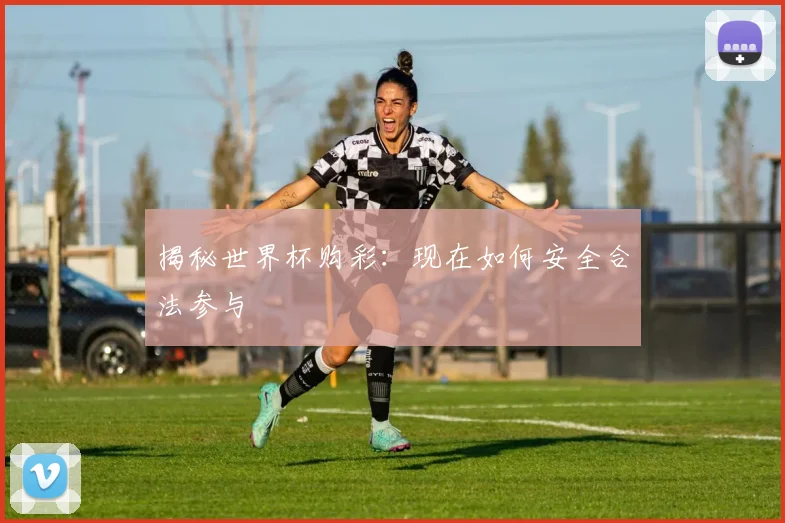 揭秘世界杯购彩:现在如何安全合法参与