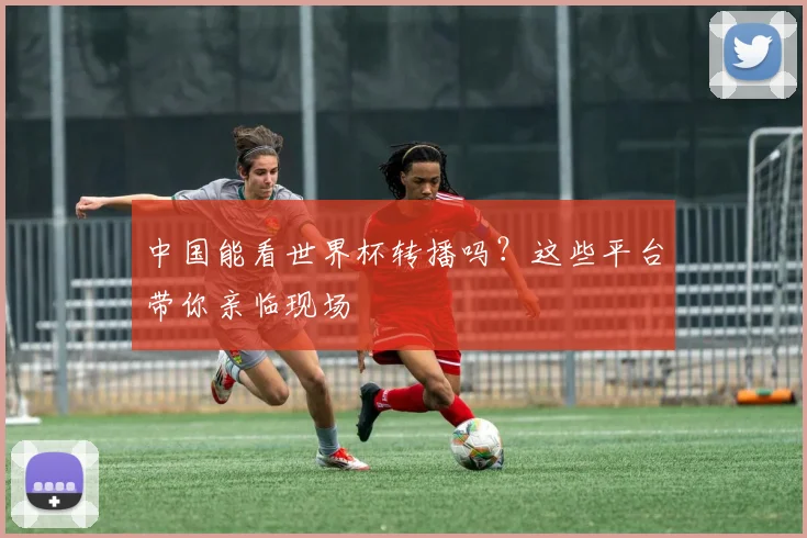 中国能看世界杯转播吗?这些平台带你亲临现场