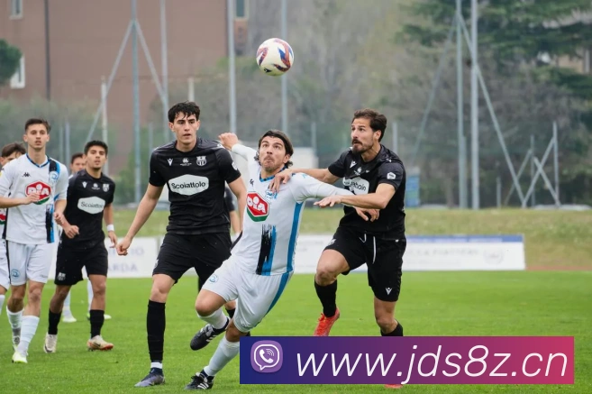 挪超积分榜最新排名：争冠与保级形势深度解析